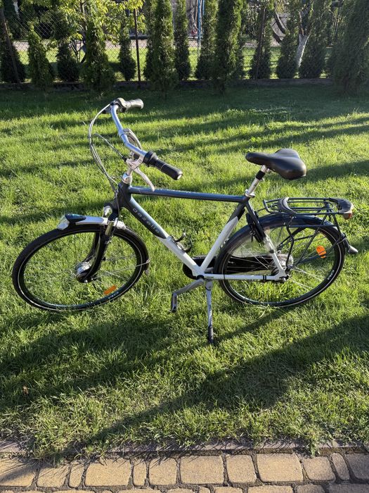 Rower Gazelle Monteux LTD