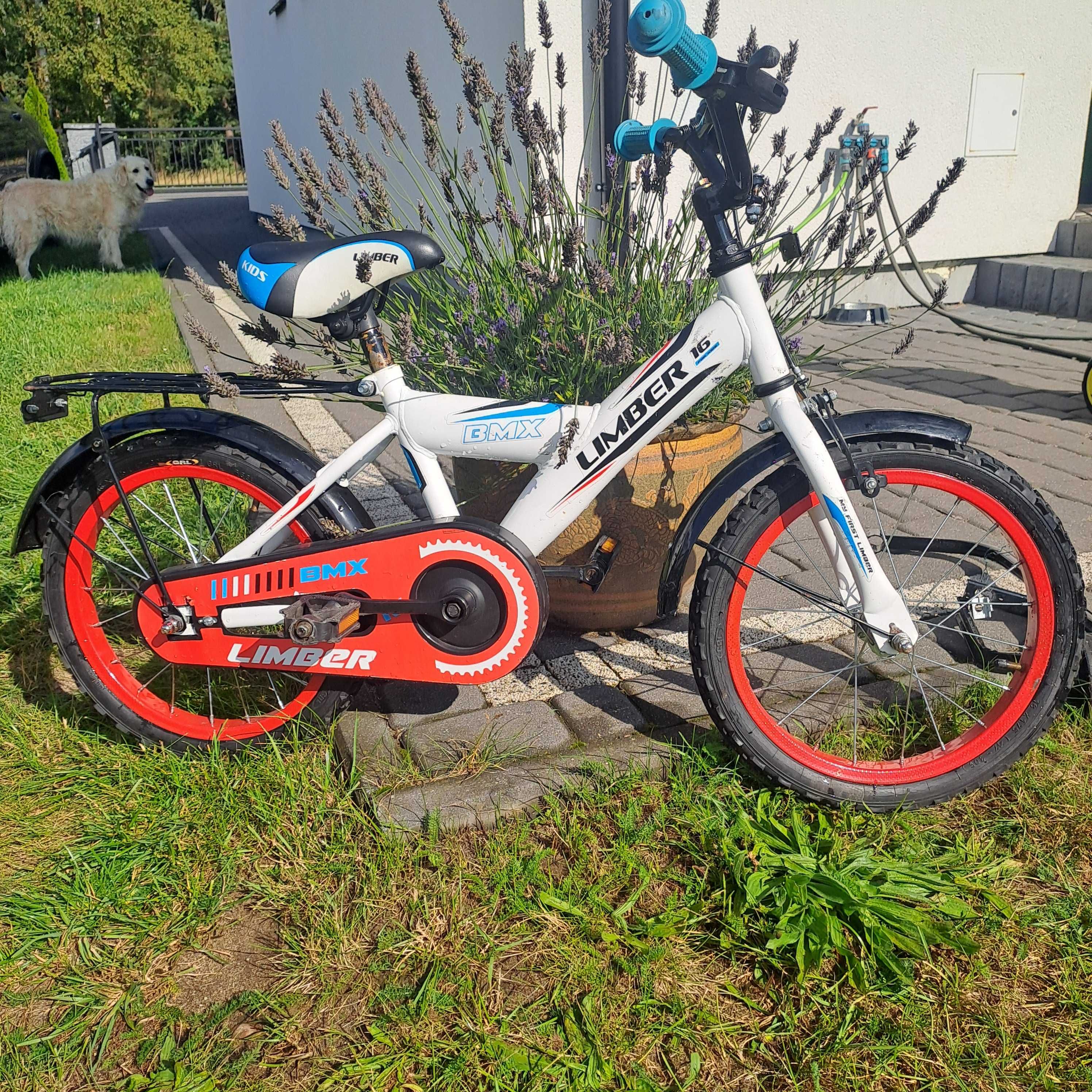 Rower dzieciecy BMX