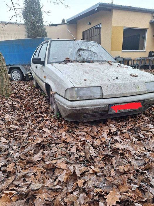 Citroen BX 1.4 TGE, 1990.