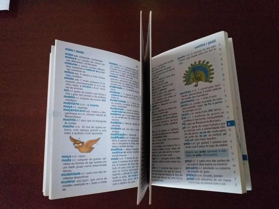 Dicionário Básico Ilustrado-Porto Editora