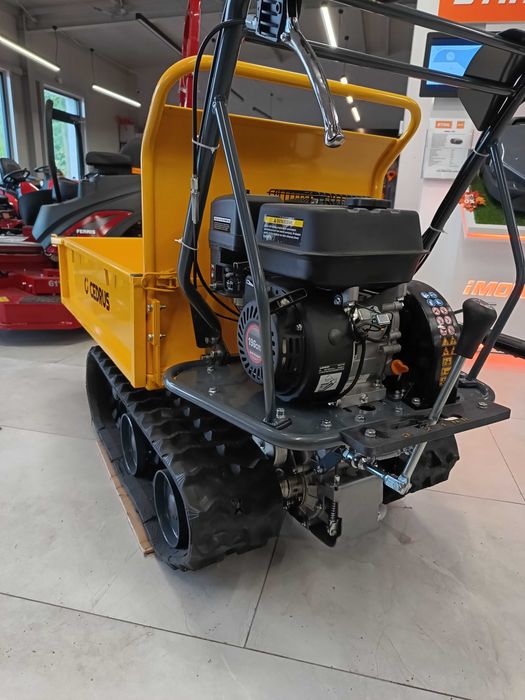 Transporter gąsienicowy Cedrus TR300G