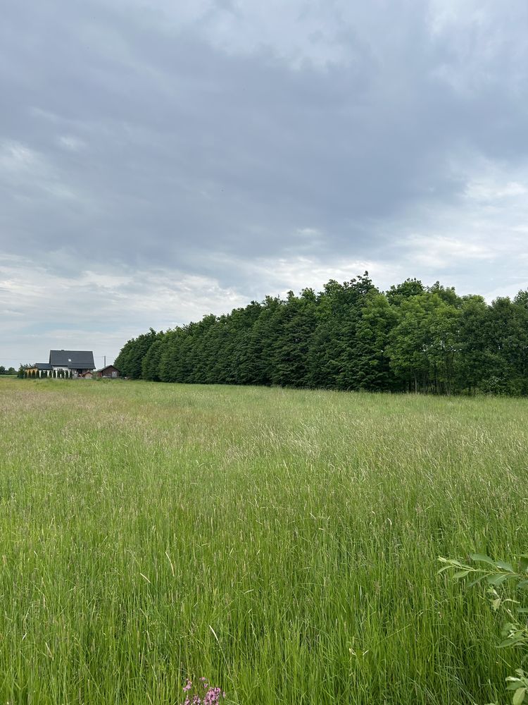 Działka z warunkami zabudowy. Sawiny Gród.