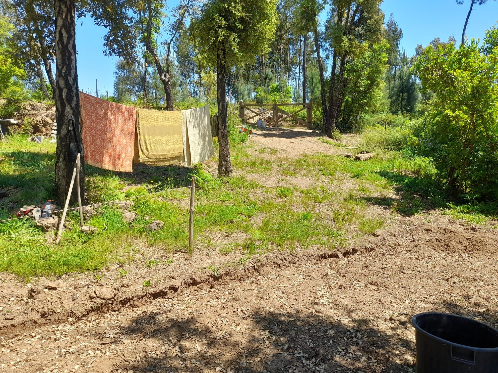 Terreno rustico vedado