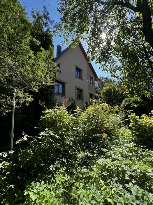 Затишний заміський будинок із каміном та атмосферою мисливського дому!