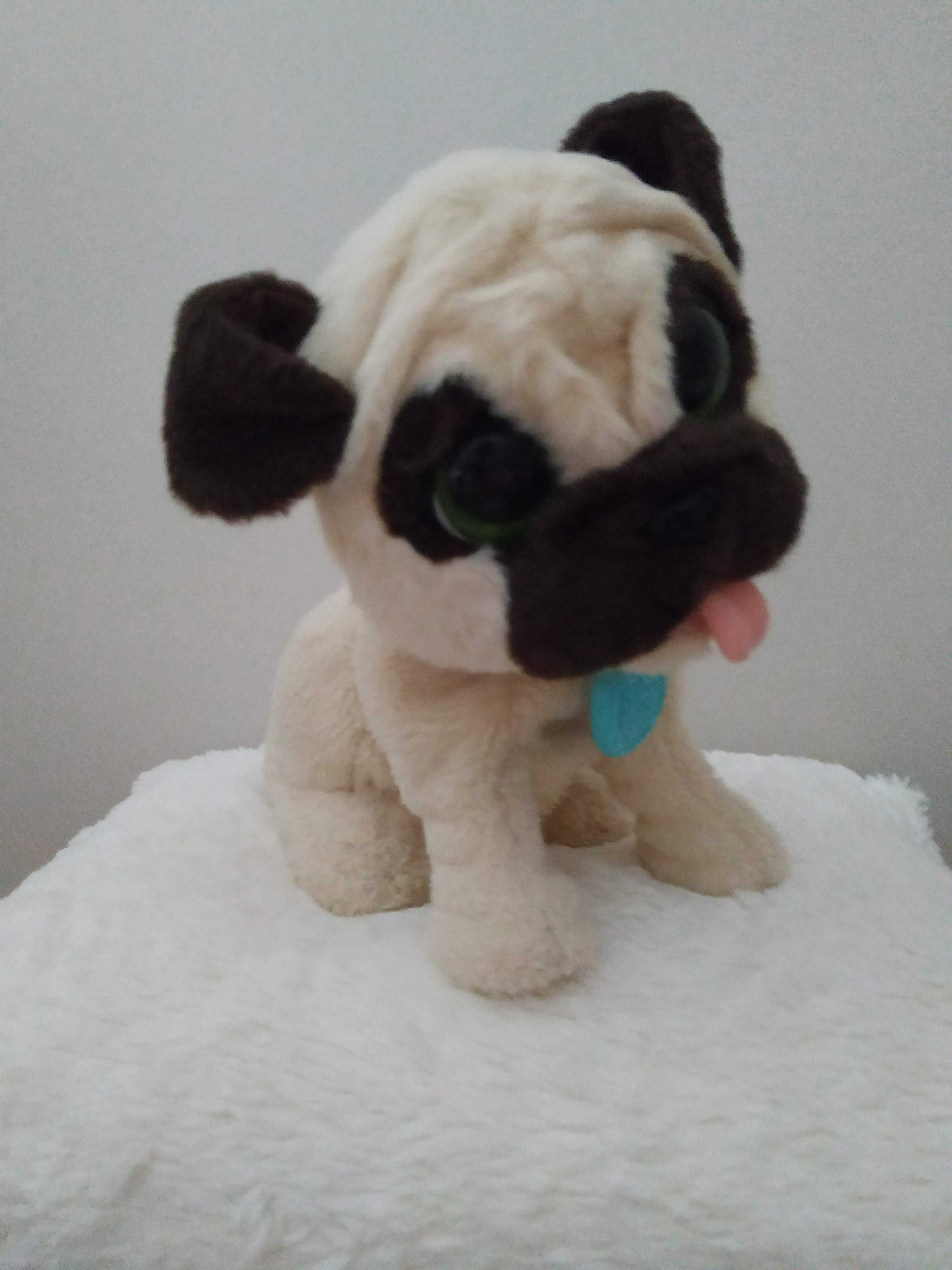 Unicórnio ou Bebé gatinha ou Cão