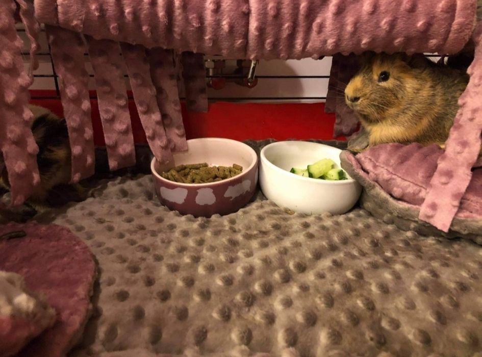 Wodoodporna mata do klatki 70x140