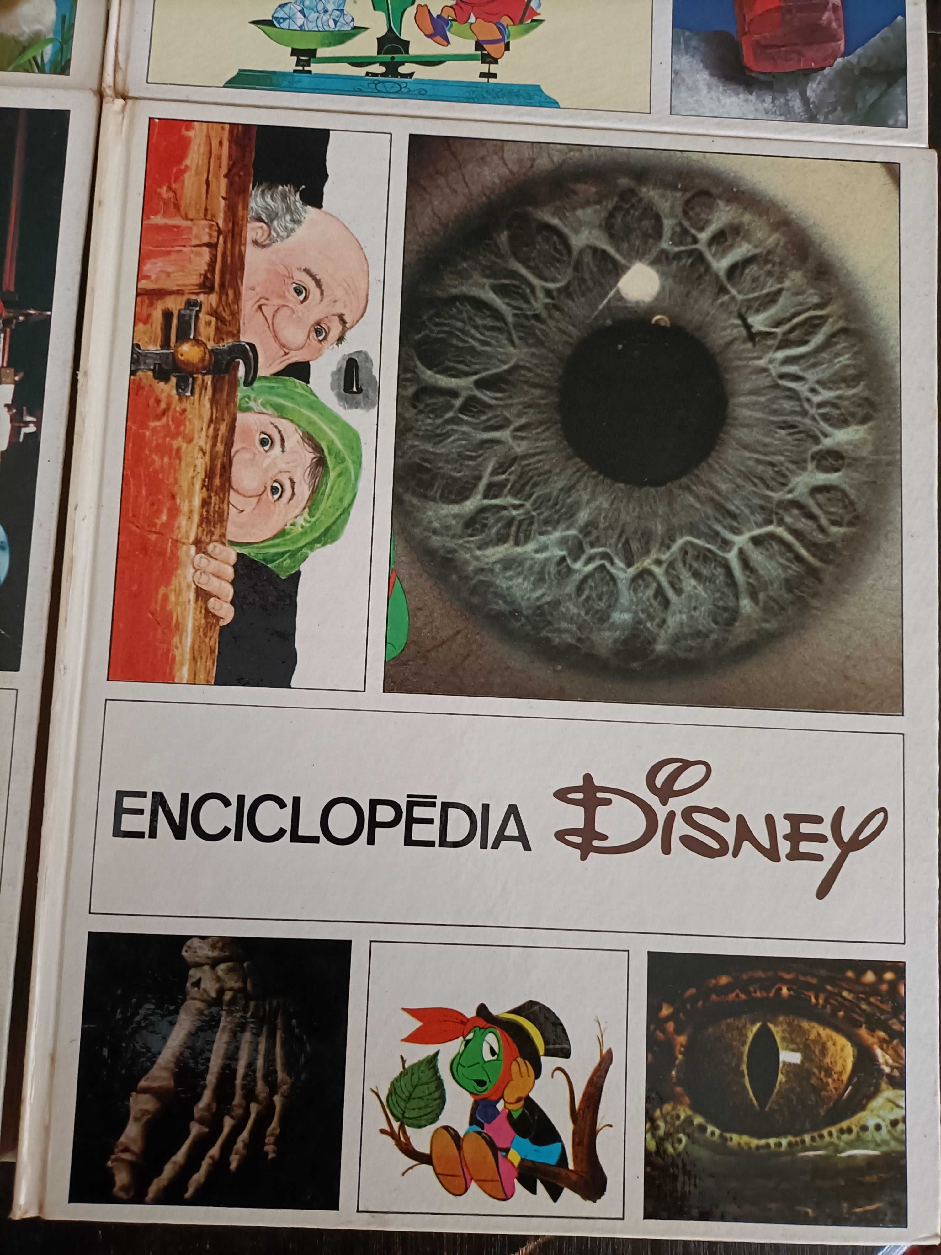 6 Volumes Enciclopédia Disney 1972