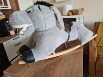 Konik , osioł na biegunach
