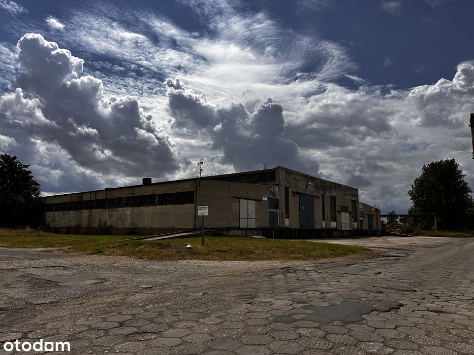 Hala produkcyjno-magazynowa 2385,45 m.kw. Park Przemysłowy ELANA