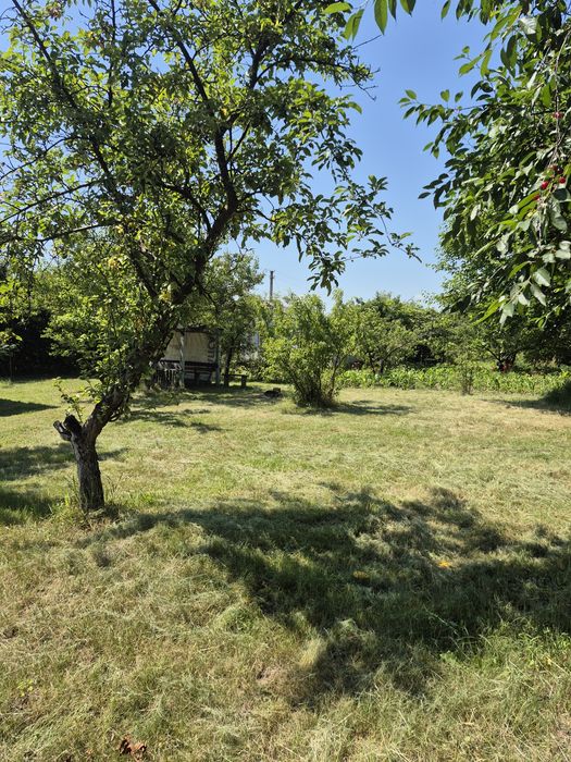 Дача.Березанка, с/т Снов'янка