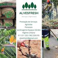Serviços Jardinagem Piscinas Agricultura Floresta