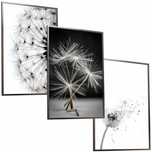 3x 30x40 A3 ZESTAW OBRAZ W RAMIE PLAKATY RAMKA boho mlecz dmuchawce