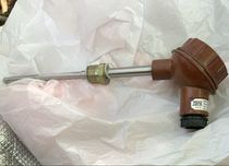 Термопреобразователь Тэна 1-3 pt1000 B 2x2 120-8м20x1,5-70-д. Новый