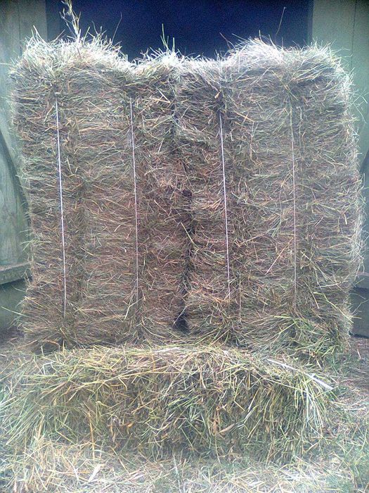 Продам сіно в тюках