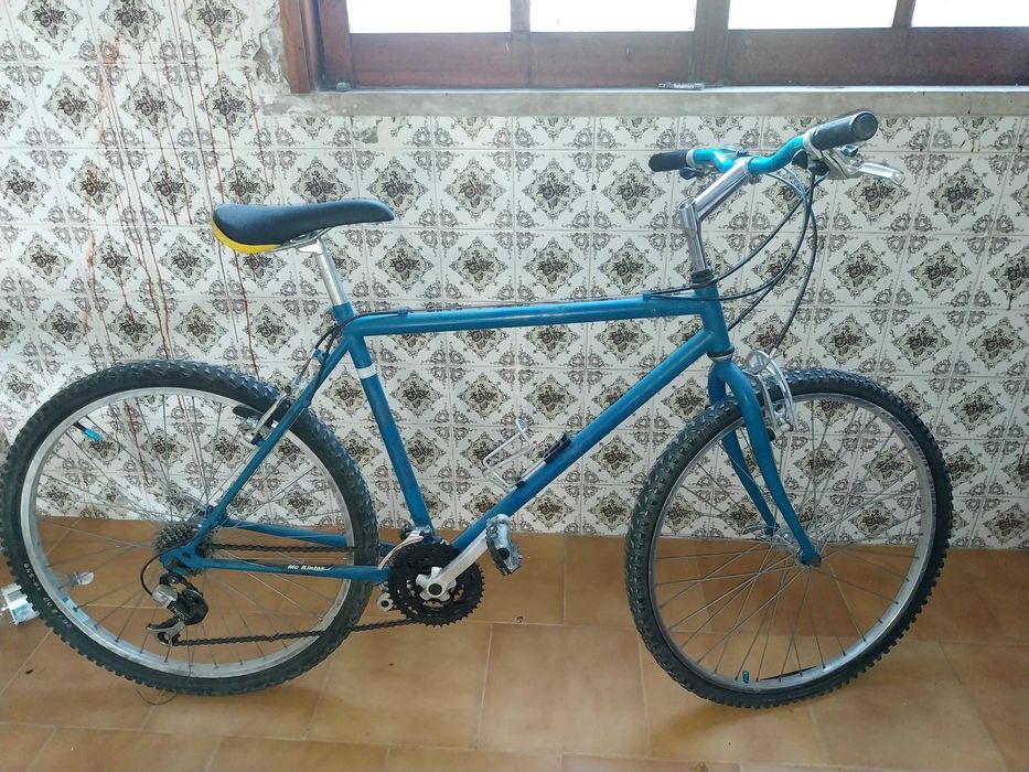 Bicicleta Adulto