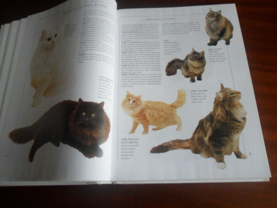 "O Livro Gigante do Gato" de Vários - 1ª Edição de 2002