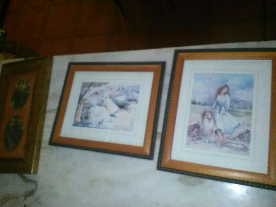 Conjunto de 5 Quadros