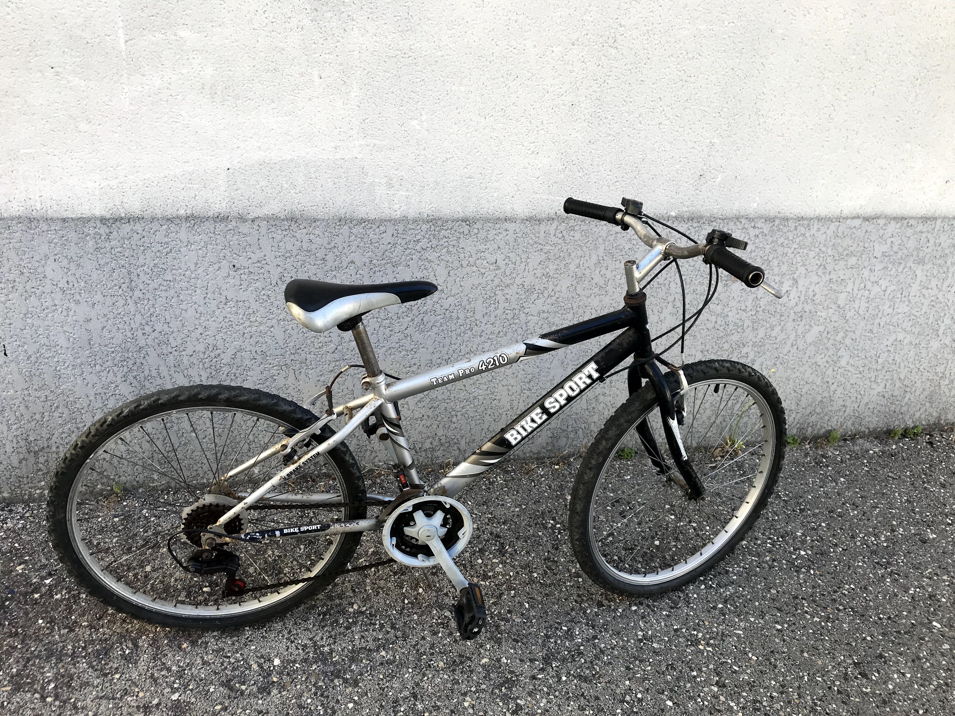 Bicicleta EMT TEAM PRO 4210 *USADO*