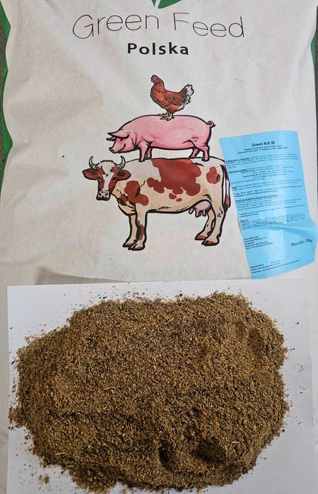 Pasza dla bydła - Green Feed Polska