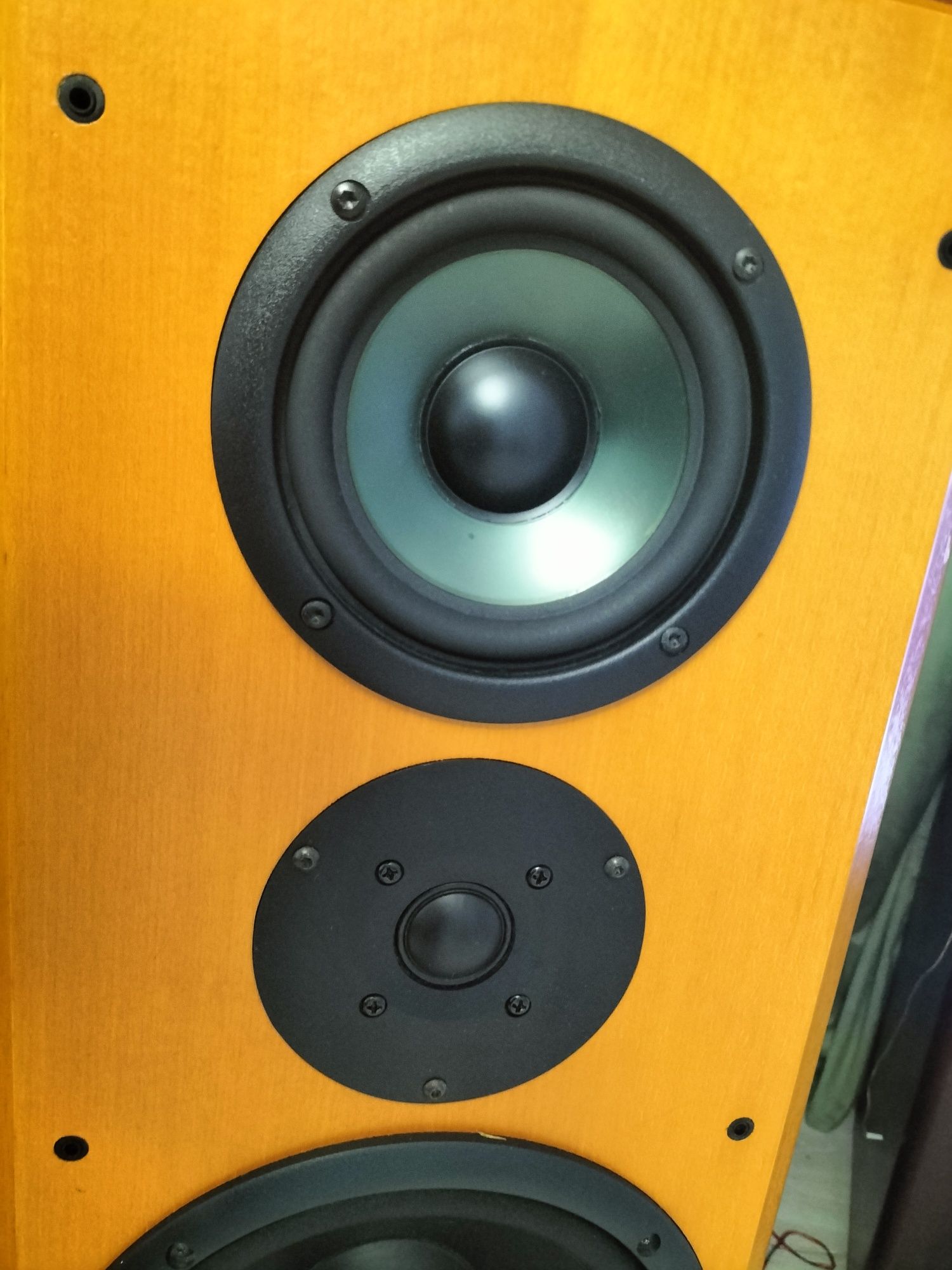 Kolumny T+A Pulsar TAE 1500E