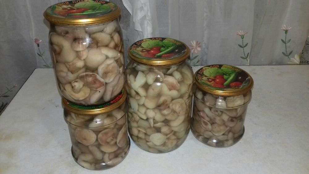 Маринованные грибы