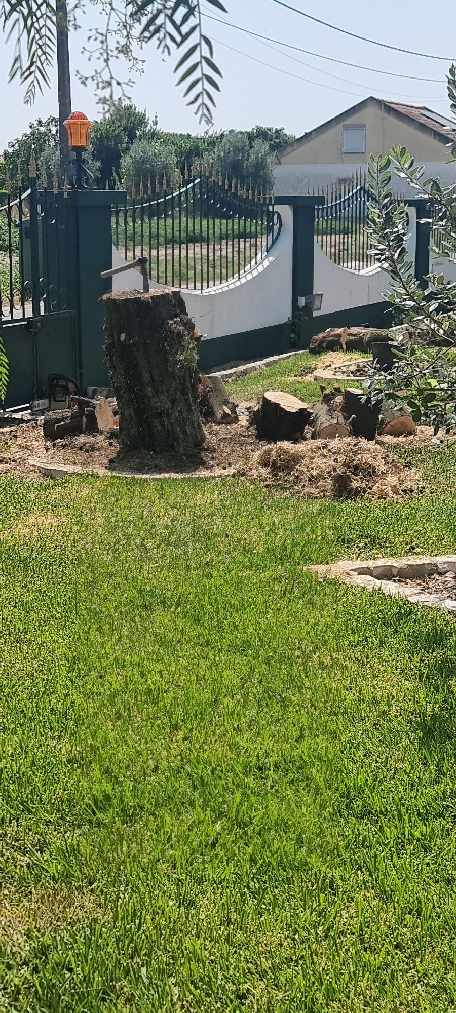 Limpeza de jardins e abate de árvores