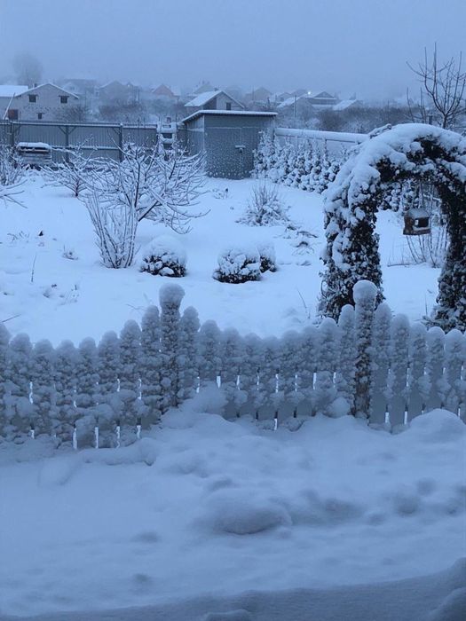 Продаж будинку Старі Петрівці
