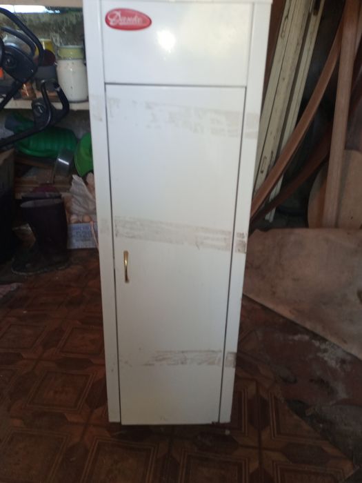Газовий котел Данко 12 kw