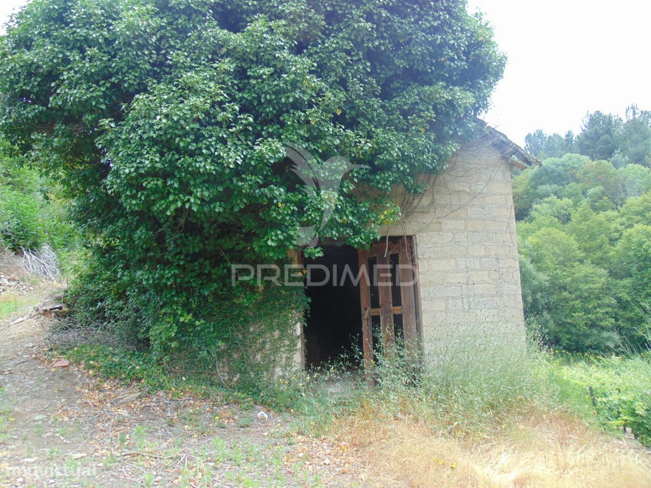 Quinta c/ vinha em produção em Santa Marta de Penaguião