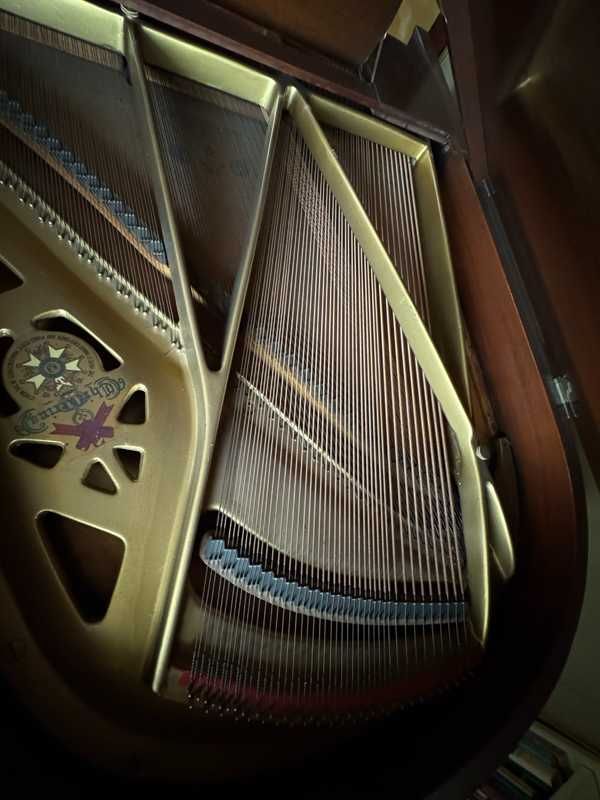 Chickering Baby Grand Piano