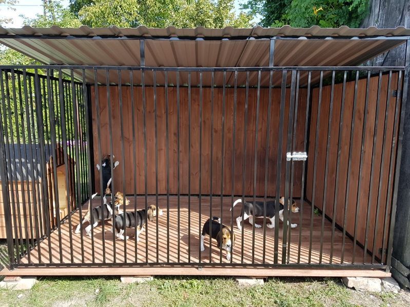 Kojec Klatka Zagroda Buda dla psa 3mx2m Montaż Gratis Solidny