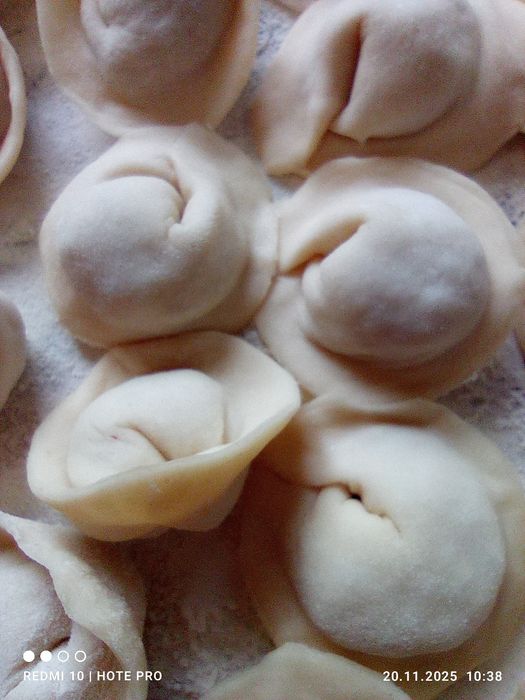 Домашні пільмені