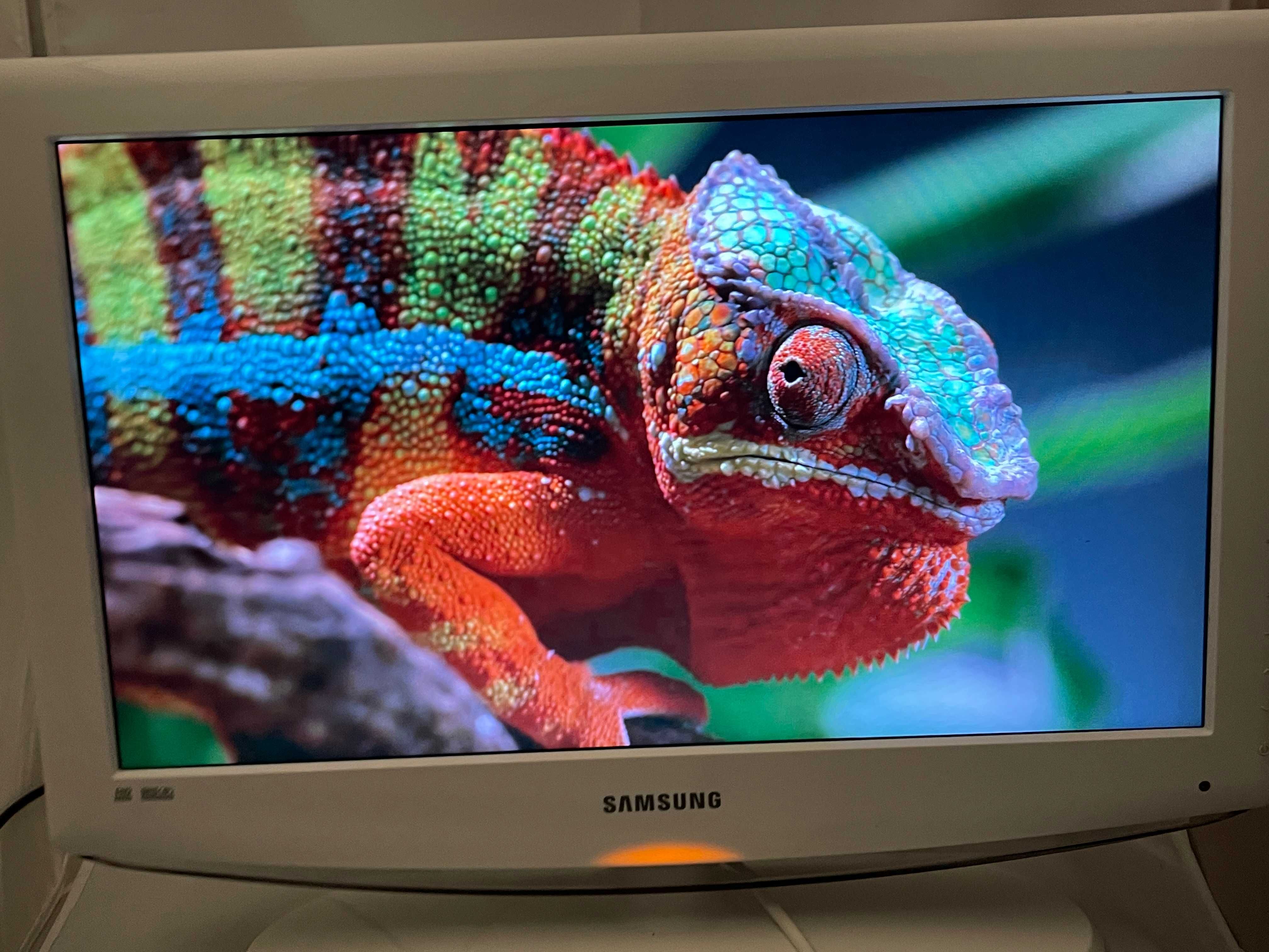 Telewizor Samsung 23" LE23R81W biały