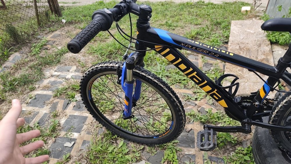 Rower indiana x pulser 2.4