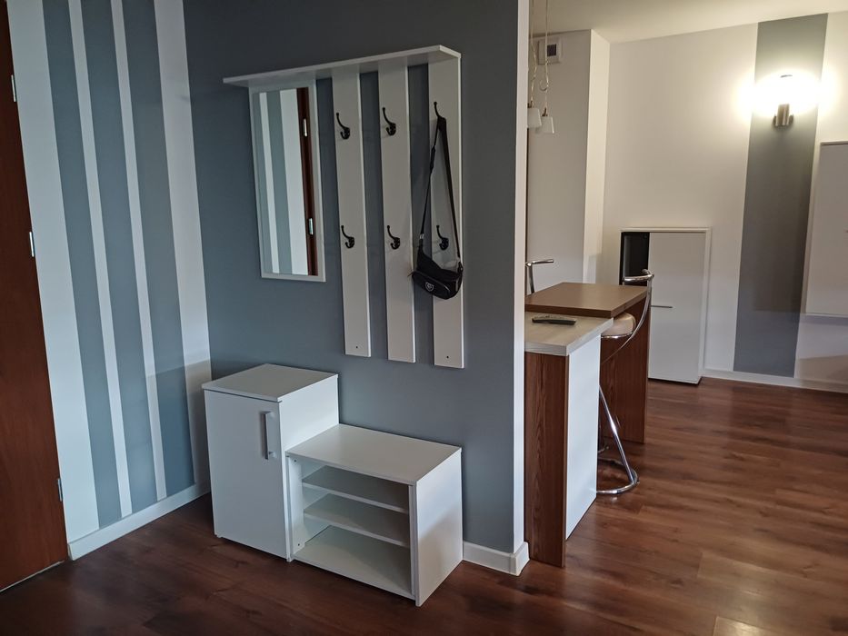 Apartament Skierniewice Centrum/wynajem dobowy