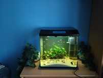 Akwarium 30 litrow