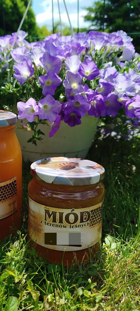 Miód z terenów leśnych z własnej pasieki 0,9l  możliwość wysyłki