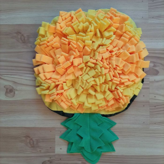 Mata węchowa dla psa