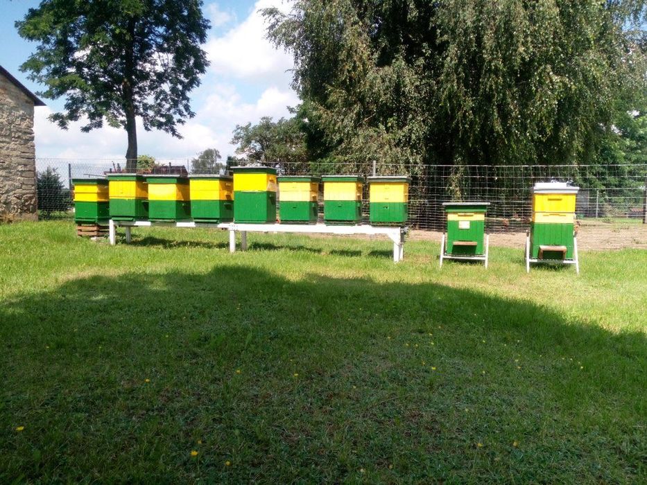 3 rodziny pszczele wraz z ulami i stojakami