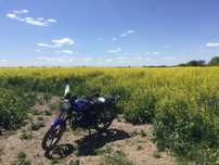Mustang125 в хорошому стані