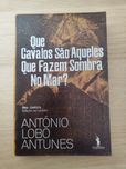 Livro - que cavalos são aqueles que fazem sombra no mar