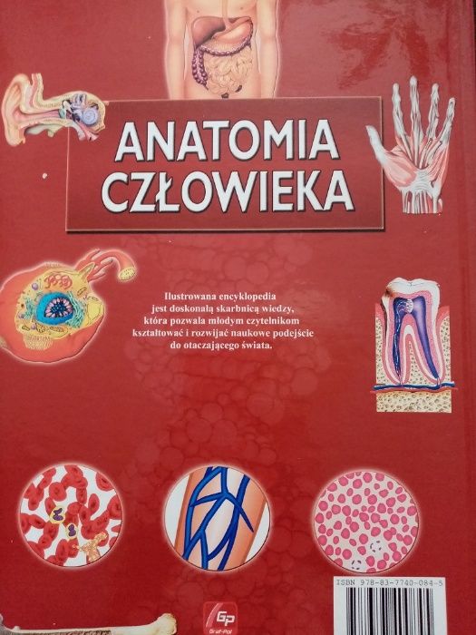 Książka Anatomia Człowieka używana