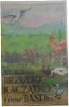 Brzydkie Kaczątko I Inne Baśnie Hans Christian Andersen