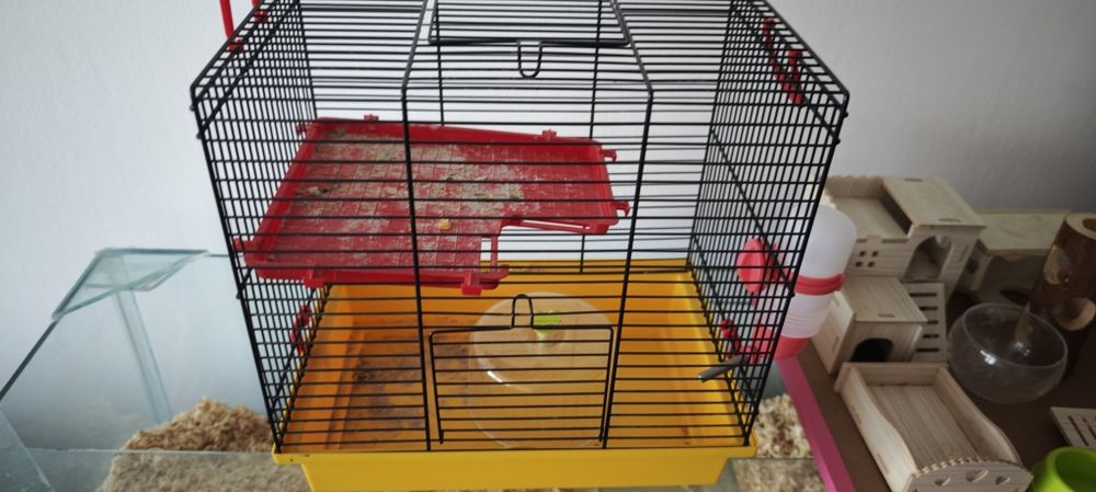 Akwarium dla chomika