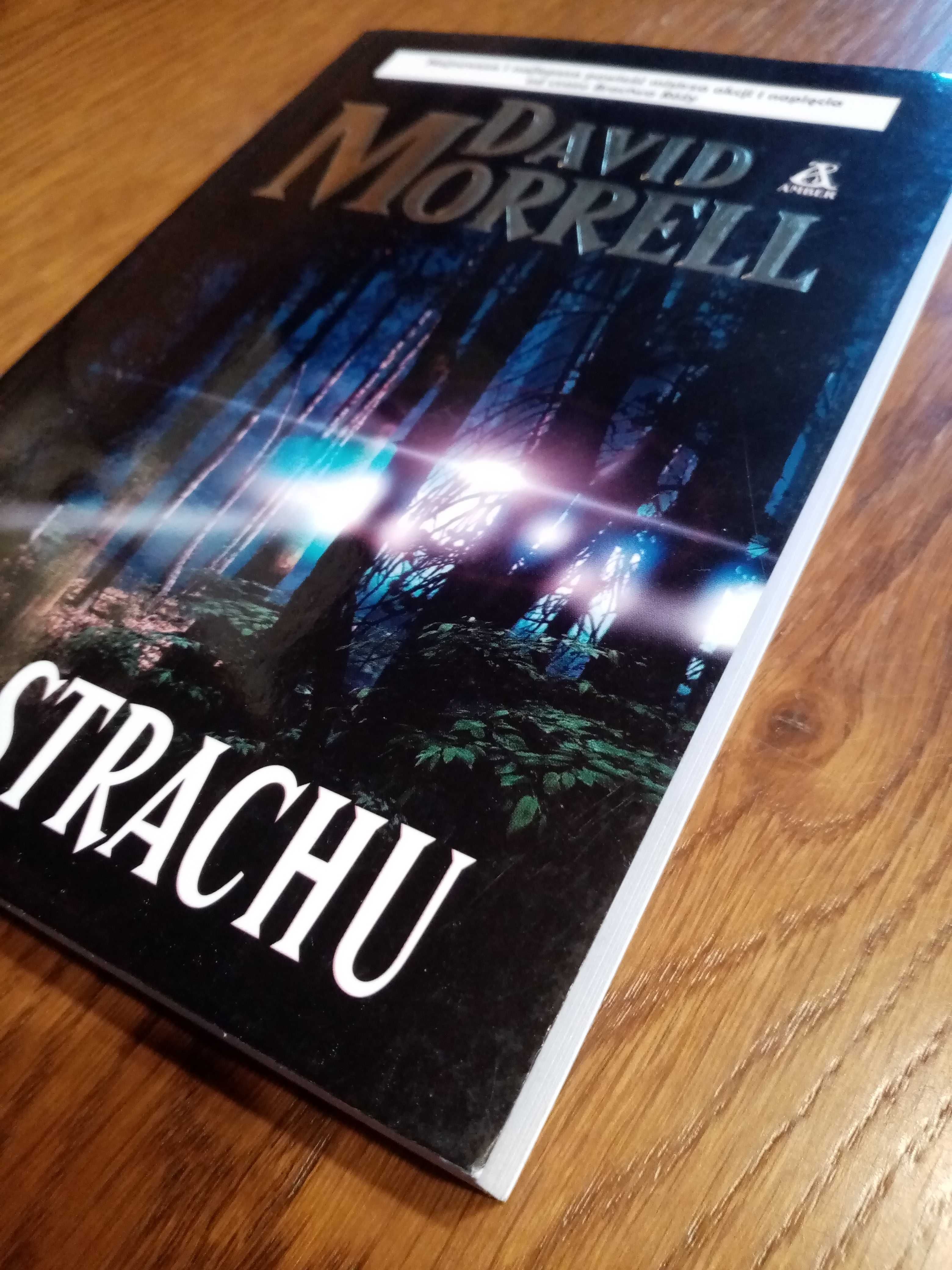 Siła Strachu   David Morrell