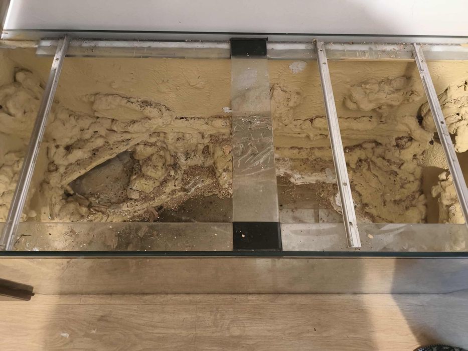 Bardzo duże akwarium/terrarium