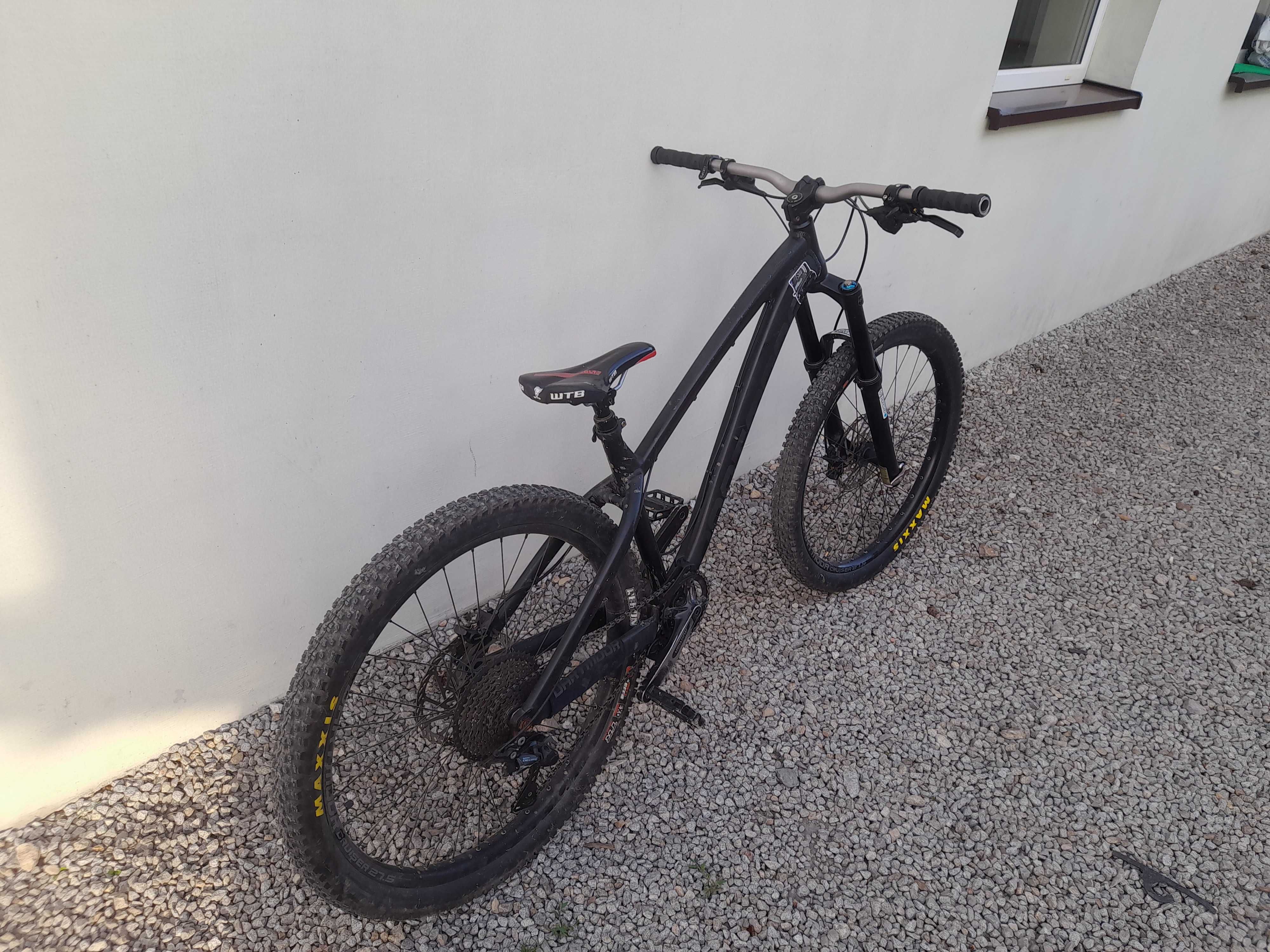 Dartmoor hornet 2020
