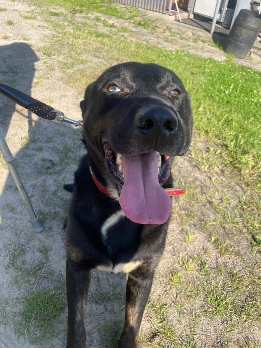 Weź mnie do domu i pokochaj!