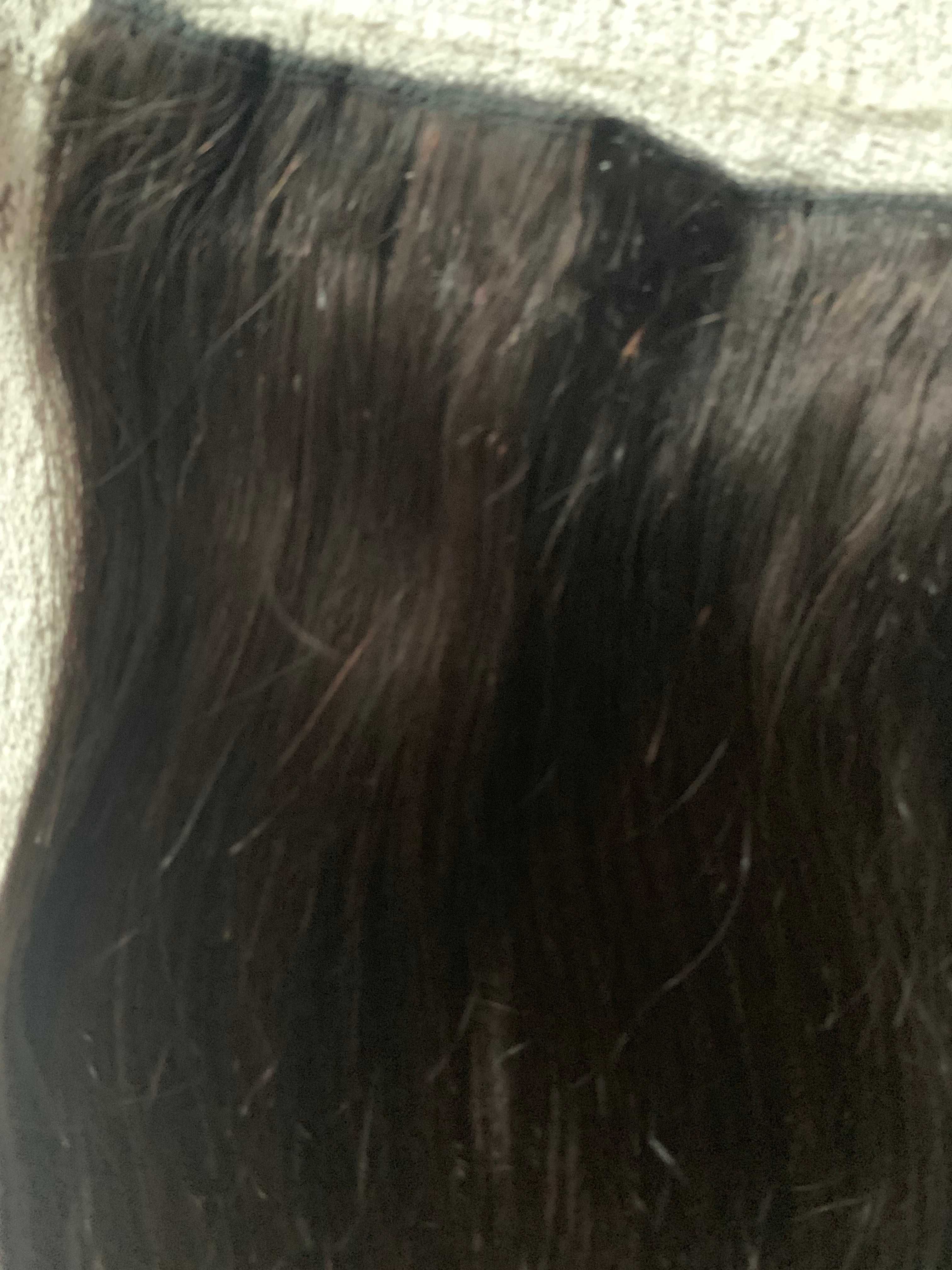 Włosy doczepiane naturalne czarne całe 4 clip in i żyłka 34 cm 40 gr