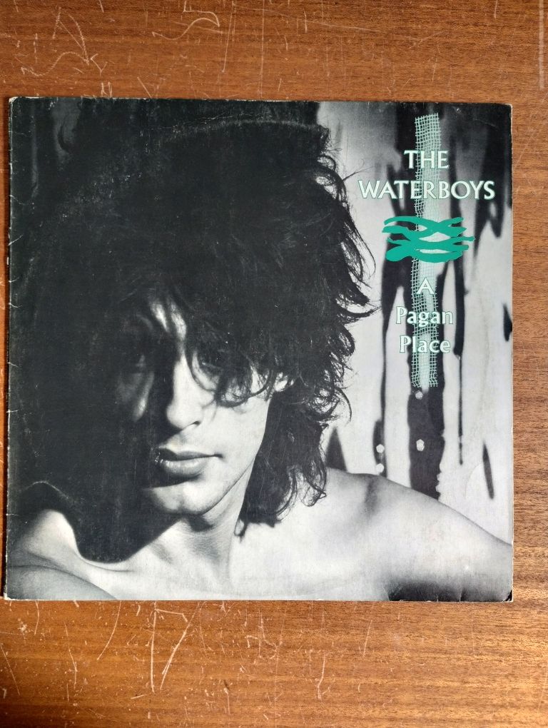 Disco Vinil LP, The Waterboys, A Pagan Place